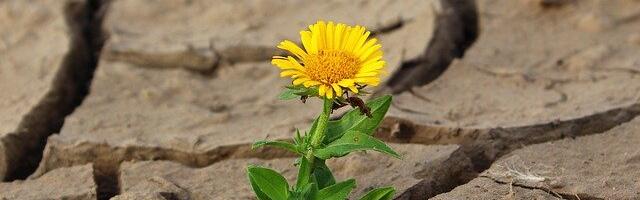 Sielusi viesti tälle päivälle, perjantaille 3. huhtikuuta 26