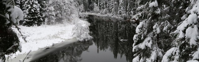 Lisaks siit veel EESTIMAAD:  Indrek Sarapuu - Urbi et orbi. Ahja jõel 2020.a. jõulud