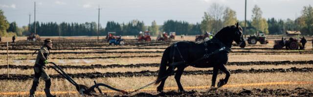 Tule vaata, kuidas künnavad meistrid! 26. ja 27. septembril Jõgevamaal