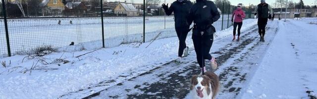 Galerii: Jõhvis jooksid kuusk, koer ja põder