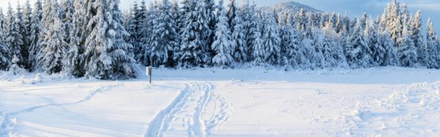 Päevahoroskoop : laupäev, 31. jaanuar