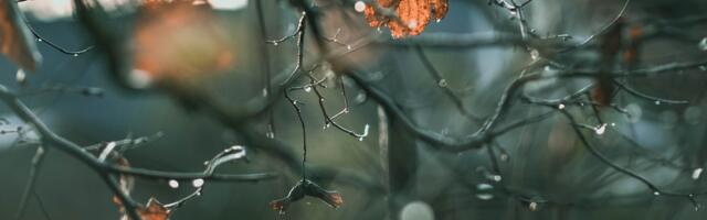 Sünoptik: mõnda aega domineerivad veel soojad õhumassid