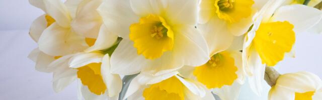 Emade auks on täna heisatud lipud!