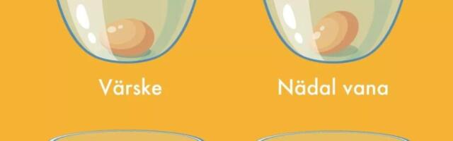 Muna värskust saab kindlaks teha nii…