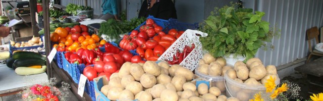 Aiast saab saaki see, kes kastmisega ei koonerda