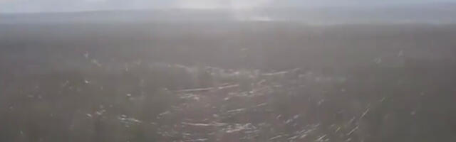 VIDEO: selline on mets Ukrainas – täis fiiberoptilisi kaableid