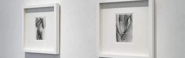 Kallis, las ma objektistan sind natuke