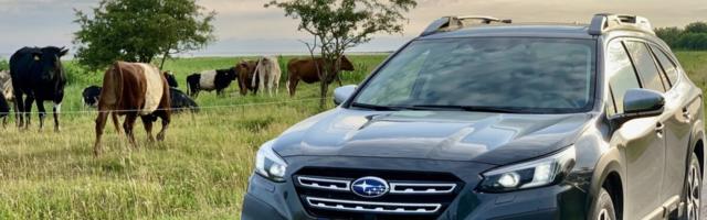 Proovisõit | Uus Subaru Outback on nutikas ja sõidab hiirvaikselt