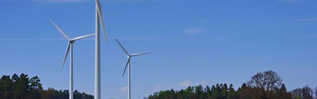 Läti riigimetsa haldaja siseneb energiaturule