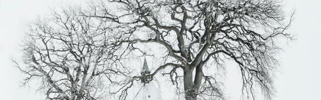 Jumalateenistuste ajad Otepää valla kirikutes