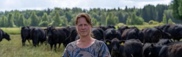 Parimad karjakasvatajad on selgunud