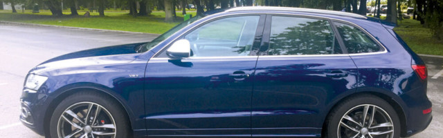 Autopäevik. Vana arm ei roosteta