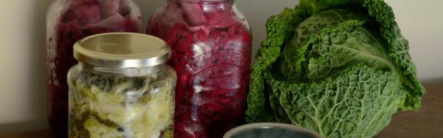 Kõhutunne korda: vähem külmutatud ja rohkem hapendatud toitu!