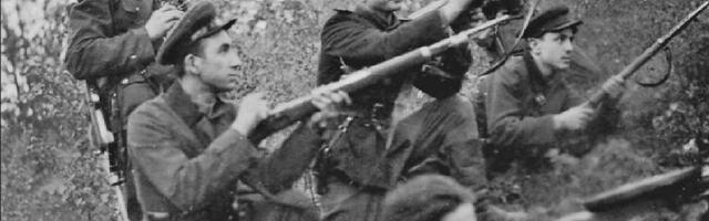 „Need, kelle võimud idast saatsid, lasti maha või lõigati tükkideks.“ Mida kujutasid endast Ukraina metsavennad?