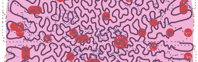 Käsi (p)aitab kätt