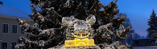 Talvepealinn Otepää otsib jõulukuuske