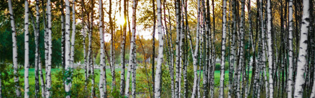 Vene puit voolab Euroopasse – Kremlile miljarditulud