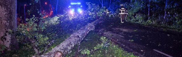 FOTOD | Tormituulega murdunud puud takistasid Viljandimaal mitmes kohas liiklust