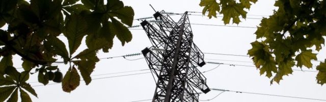 Elektrilevi: viie aasta pärast peaks suurem osa õhuliinidest olema ilmastikukindlad