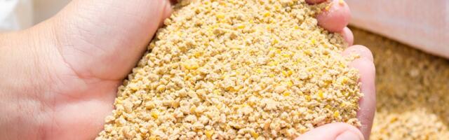 Enne kui ostad poest kanamune, pead sa seda teadma