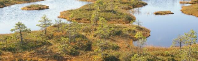 Eesti jätkab looduse taastamist sõltumata Euroopa Liidu määrusest