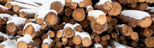 Puiduturg muutub ebakindlamaks, Soome uuring hoiatab koondumise ja regulatiivse surve eest