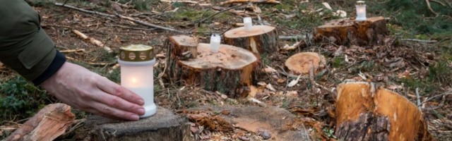 Teistmoodi meeleavaldus: Tuled KAH metsa!