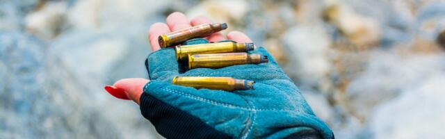 Oktoobrikuine kampaania kogus kümmekond tulirelva, ligemale tuhat padrunit ja rohkesti pürotehnikat