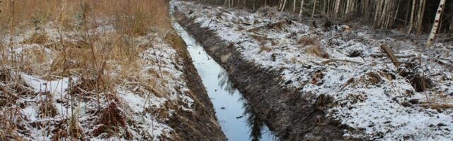 Keskkonnaühendused saatsid ettepanekud koalitsioonileppesse