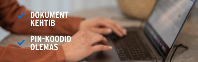 Kontrolli enne tulude deklareerimist, kas dokumendid kehtivad ja PIN-koodid on olemas