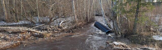 FOTOD | Muudkui uputab: tõusuvesi viis Viljandimaal tee ühes truubiga Lätti