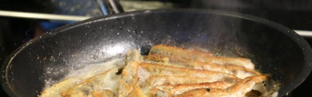 Marju Kõivupuu: hiigelrahade eest hakatakse teaduslikult uurima, miks eestlane kala ei armasta