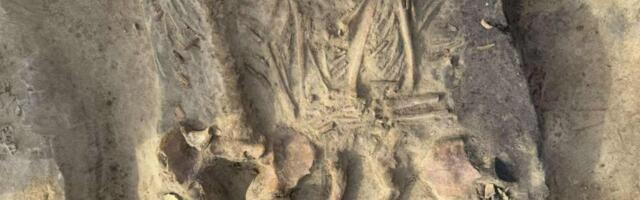 FOTOD | Poolas avastati salapärane üksteist embavate inimeste matmispaik