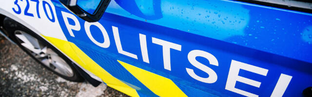 Politsei pidas Valgas kinni kolm tapmises kahtlustatavat noort