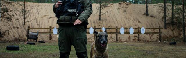 Rünnakud noa, harpuunpüssi ja tulirelvaga. 8 ohtlikku juhtumit keskkonnainspektorite töös