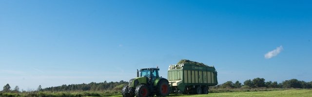 Ukraina peatas hooajatööliste väljasõidu