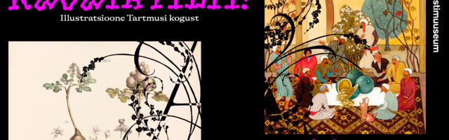 Tartu Kunstimuuseumis „Ado Vabbe. Wunderbar“ ja „Kujuta pilti! Illustratsioone Tartmusi kogust”