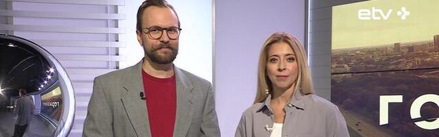 "Горизонт": басенджи, книга для детей от психолога и поездка в Китай