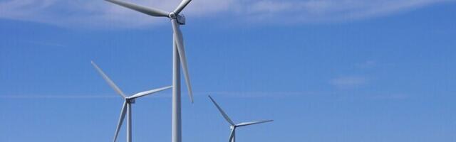 В окрестностях Варья хотят построить ветропарк