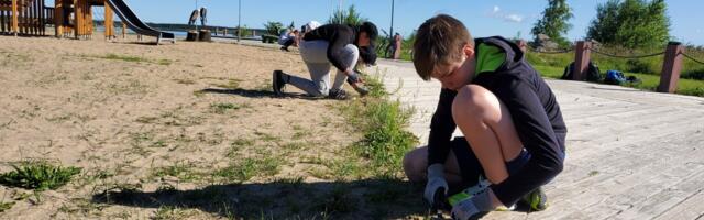 Haapsalu töömalevasse soovis saada rekordarv noori