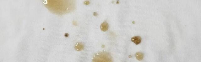 Rasvaplekid? Ära raiska raha keemilise puhastuse peale – nii saad need sekunditega kätte