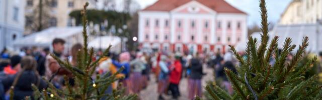 HINNAVÕRDLUS | Kaks jõuluturgu, kaks hinnataset – kas rahakott eelistab Tartut või Tallinnat?