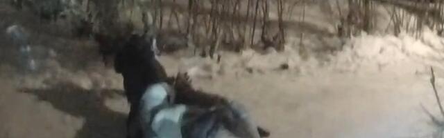 Ohtlik Tartu retsidivist tegi stardipüstolitest kerge vaevaga tulirelvi