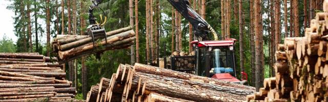 RMK selgitab välja turuhuvi paberipuidu väärindamiseks Eestis