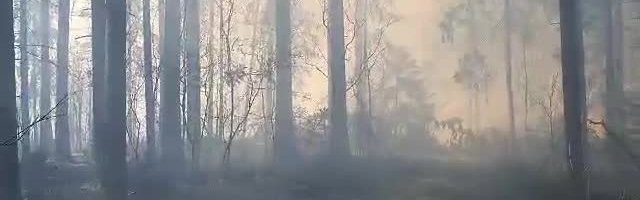 FOTOD ja VIDEO | Tartumaal põleb kaheksa hektarit metsa