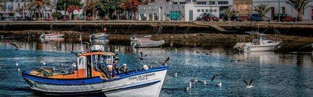 Portugal on jagu saamas diktatuuriaja järgsest sotsialismist