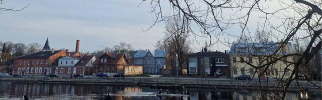 Roheline päevaraamat – kuidas püüda purki jahe kevadõhk