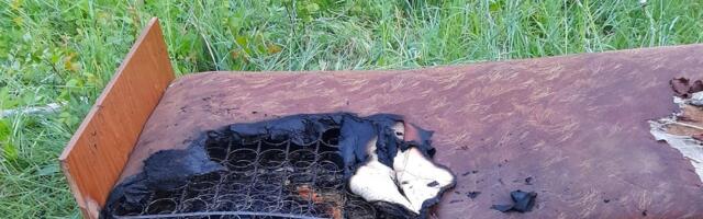 Päästjad said väljakutsed Põlvamaalt, Tartust ja Viljandimaalt