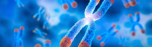 Toitumise mõju telomeeride tervisele: dieedi ja raku pikaealisuse vahelise seose uurimine
