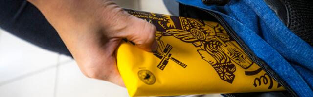 JUHTKIRI | Politsei, püüa ka „pisivargaid“. Passiivsus annab pättidele hoogu juurde